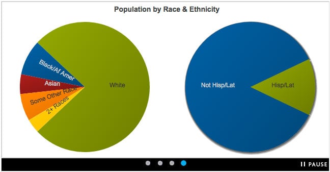 race_and_ethnicity_based_off_of_zip