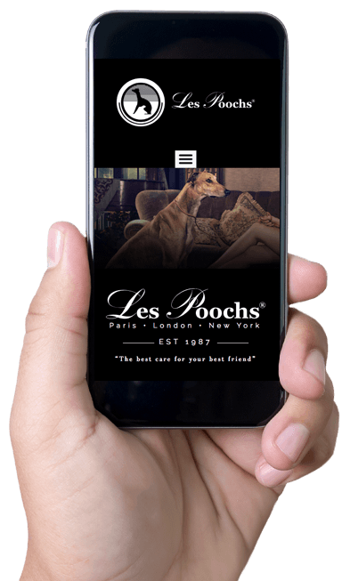 Web Video